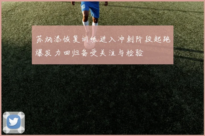 苏炳添恢复训练进入冲刺阶段起跑爆发力回归备受关注与检验