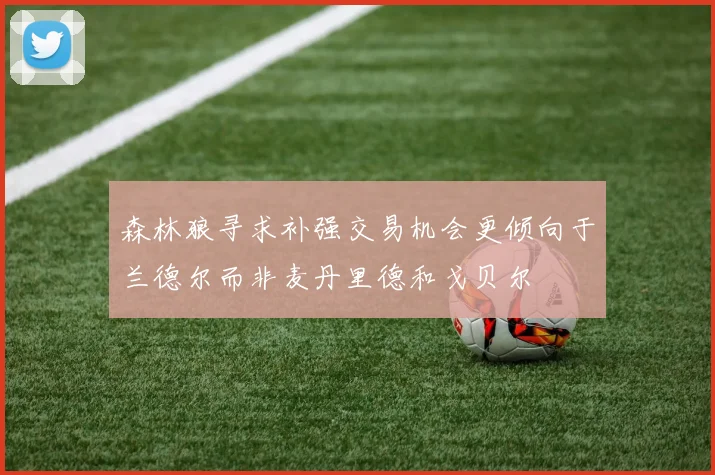 森林狼寻求补强交易机会更倾向于兰德尔而非麦丹里德和戈贝尔